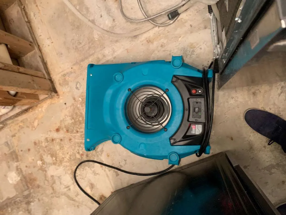 Air mover drying equipment for Mold Remediation & Removal in Edinboro